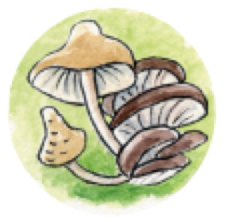 Label „Vitales, langes Leben“